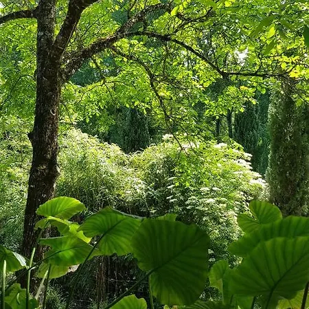 La Voie Verte *